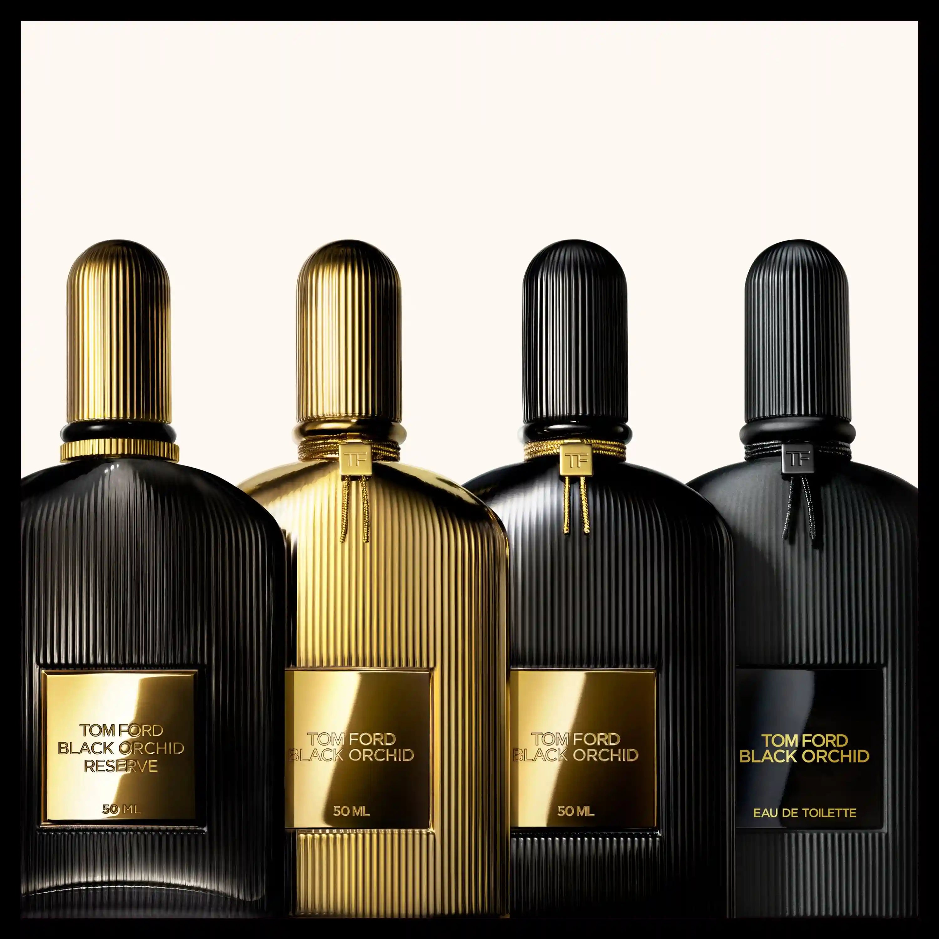 Black Orchid Discovery Collection 